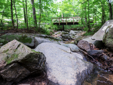 View of a creek with a bridge overhead in Dallas Georgia